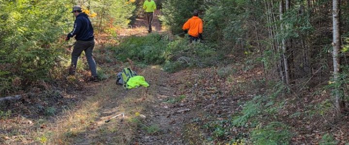 trail work