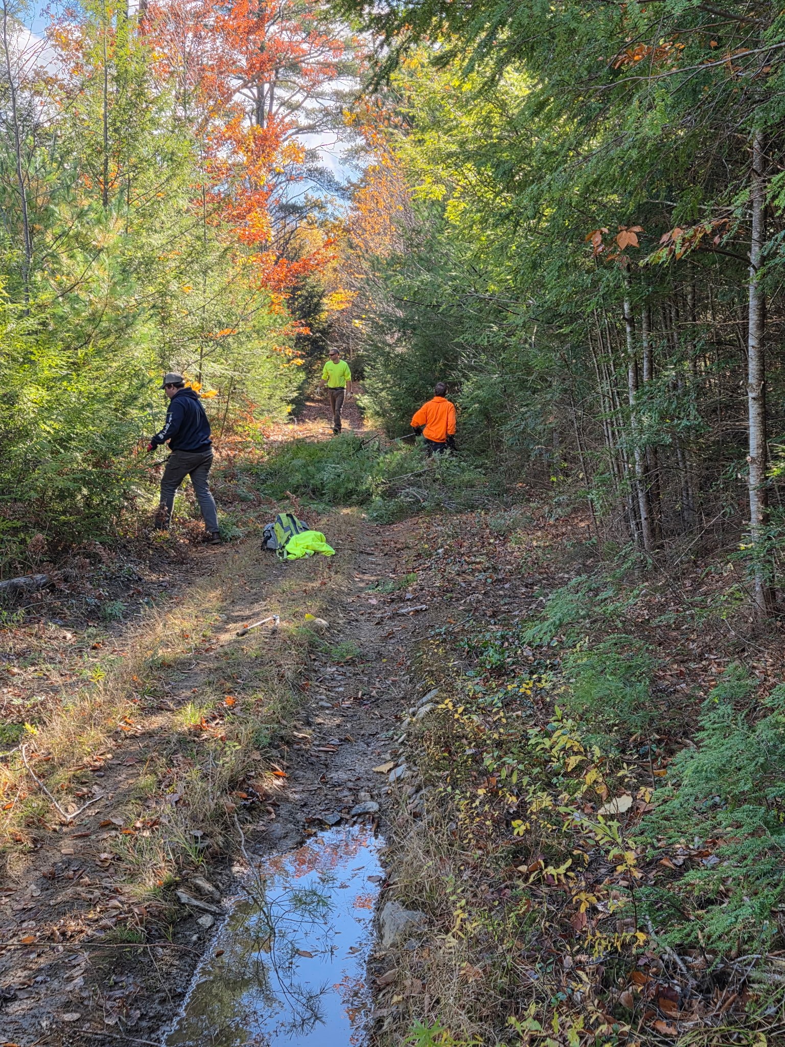 trail work trail work
