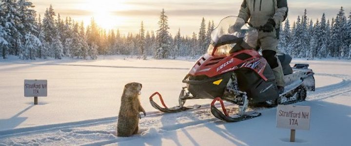 Ground Hog 2026